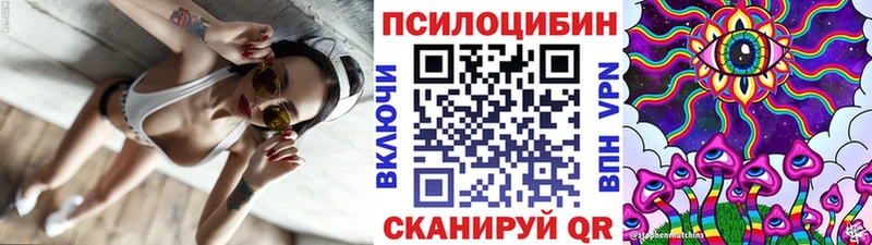Галлюциногенные грибы мицелий  Купить закладки  Райчихинск 
